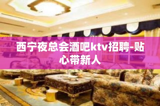 西宁夜总会酒吧ktv招聘-贴心带新人