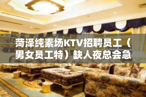 菏泽纯素场KTV招聘员工（男女员工特）缺人夜总会急聘起步促销员