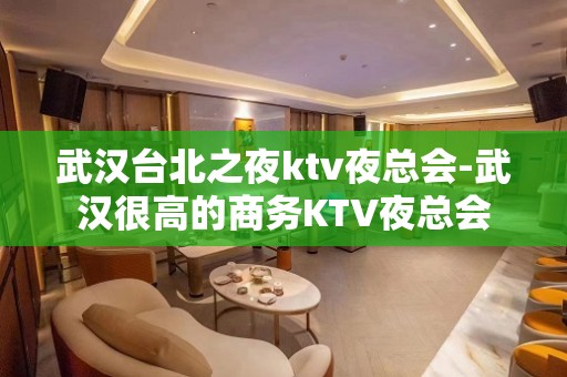 武汉台北之夜ktv夜总会-武汉很高的商务KTV夜总会