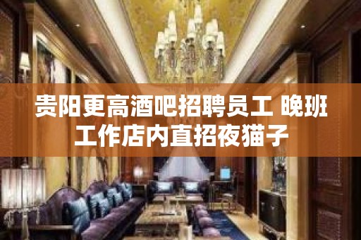 贵阳更高酒吧招聘员工 晚班工作店内直招夜猫子