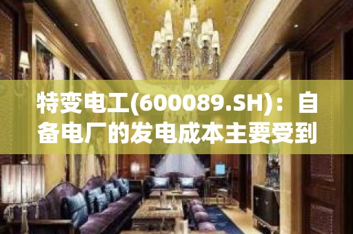 特变电工(600089.SH)：自备电厂的发电成本主要受到煤炭价格的影响