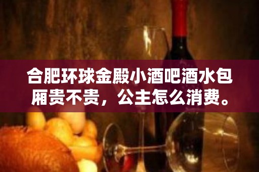 合肥环球金殿小酒吧酒水包厢贵不贵，公主怎么消费。