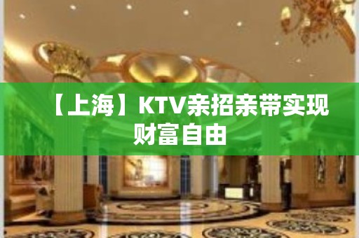 【上海】KTV亲招亲带实现财富自由