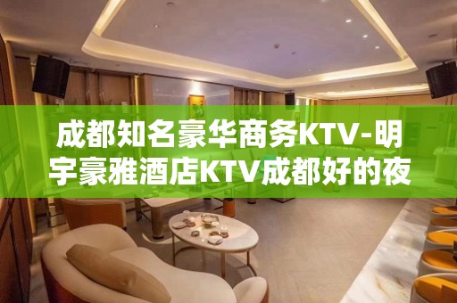 成都知名豪华商务KTV-明宇豪雅酒店KTV成都好的夜总会