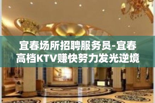 宜春场所招聘服务员-宜春高档KTV赚快努力发光逆境求存