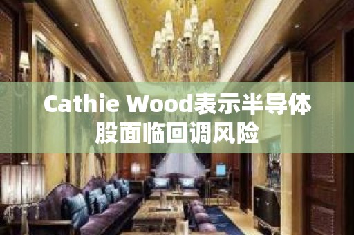 Cathie Wood表示半导体股面临回调风险