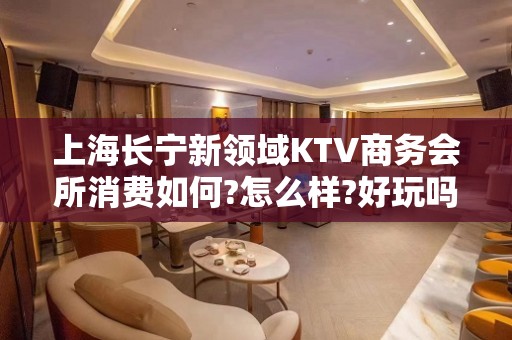 上海长宁新领域KTV商务会所消费如何?怎么样?好玩吗？