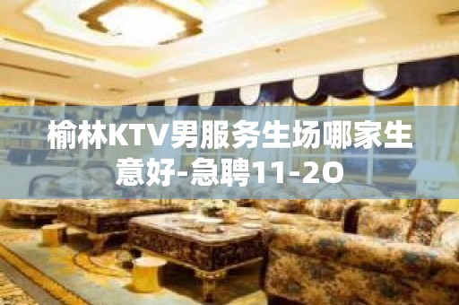 榆林KTV男服务生场哪家生意好-急聘11-2O