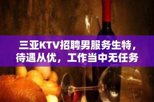 三亚KTV招聘男服务生特，待遇从优，工作当中无任务