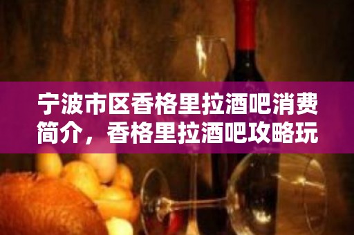 宁波市区香格里拉酒吧消费简介，香格里拉酒吧攻略玩法。