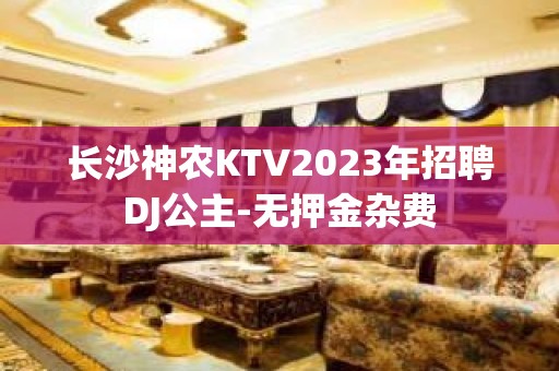 长沙神农KTV2023年招聘DJ公主-无押金杂费