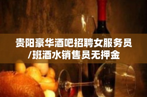 贵阳豪华酒吧招聘女服务员/班酒水销售员无押金