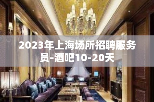 2023年上海场所招聘服务员-酒吧10-20天