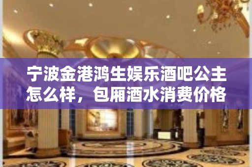 宁波金港鸿生娱乐酒吧公主怎么样，包厢酒水消费价格表。