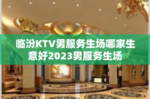 临汾KTV男服务生场哪家生意好2023男服务生场