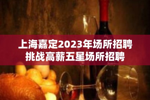 上海嘉定2023年场所招聘挑战高薪五星场所招聘