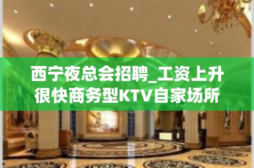 西宁夜总会招聘_工资上升很快商务型KTV自家场所