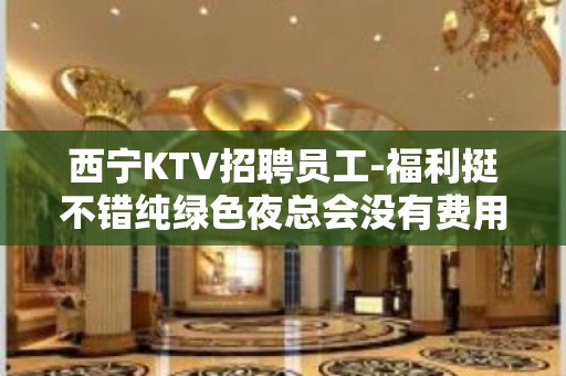 西宁KTV招聘员工-福利挺不错纯绿色夜总会没有费用