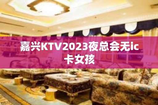 嘉兴KTV2023夜总会无ic卡女孩