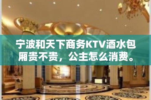 宁波和天下商务KTV酒水包厢贵不贵，公主怎么消费。