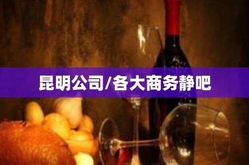 昆明公司/各大商务静吧