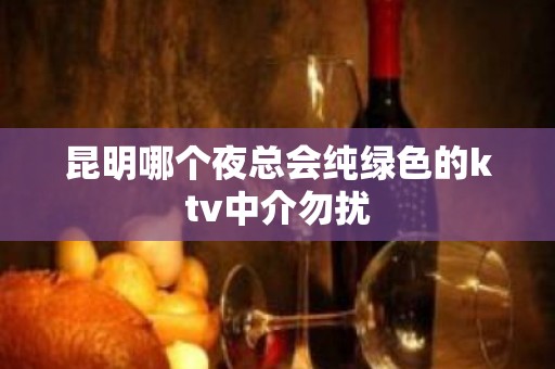 昆明哪个夜总会纯绿色的ktv中介勿扰