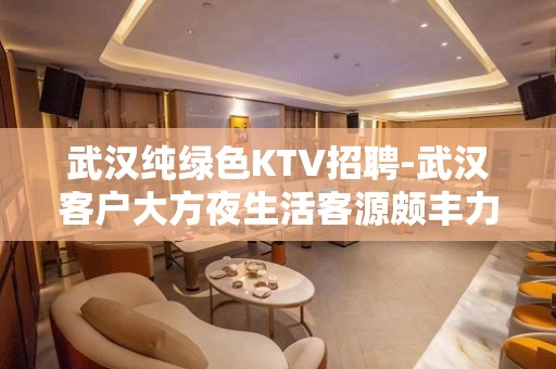 武汉纯绿色KTV招聘-武汉客户大方夜生活客源颇丰力争上游