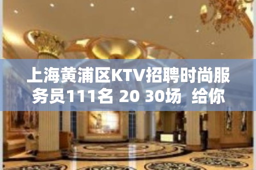 上海黄浦区KTV招聘时尚服务员111名 20 30场  给你精彩人