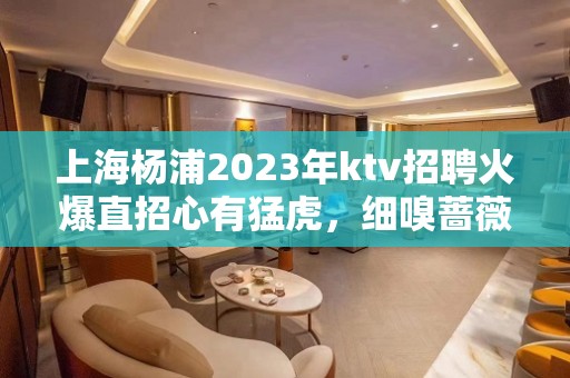 上海杨浦2023年ktv招聘火爆直招心有猛虎，细嗅蔷薇