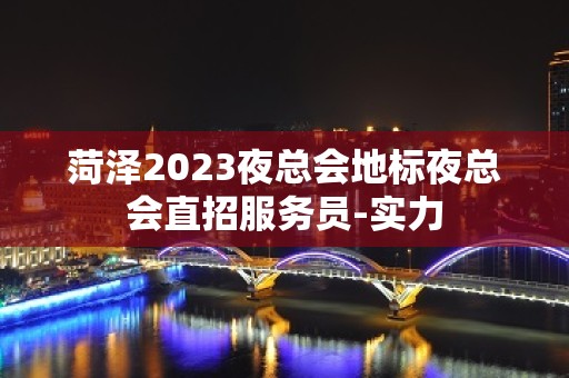 菏泽2023夜总会地标夜总会直招服务员-实力