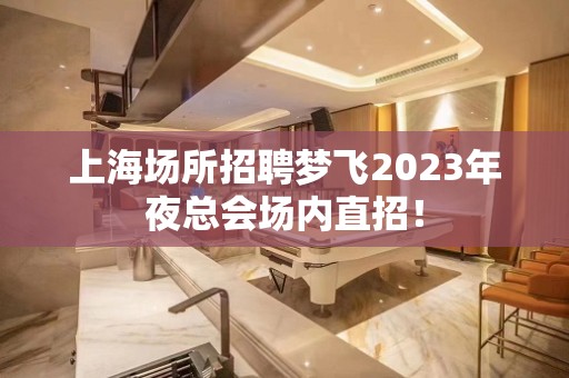 上海场所招聘梦飞2023年夜总会场内直招！