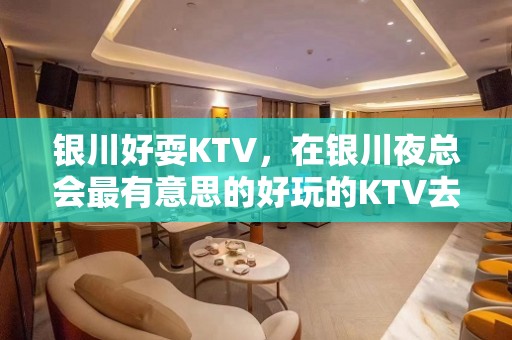 银川好耍KTV，在银川夜总会最有意思的好玩的KTV去处