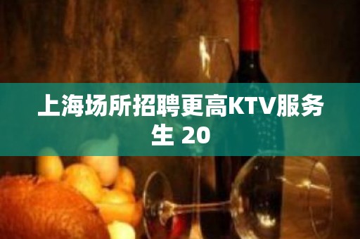 上海场所招聘更高KTV服务生 20