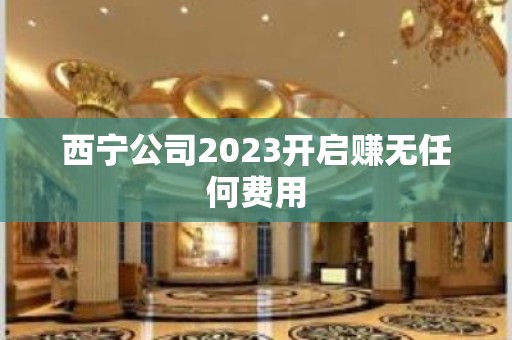 西宁公司2023开启赚无任何费用