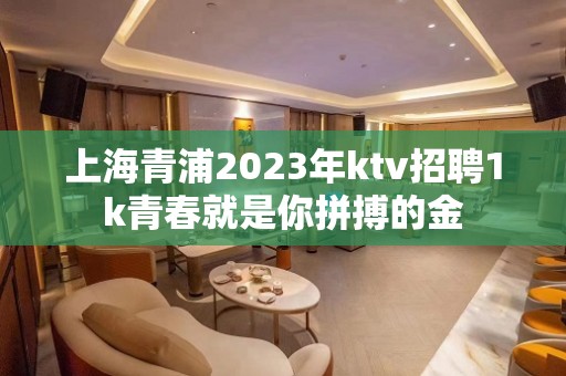 上海青浦2023年ktv招聘1k青春就是你拼搏的金