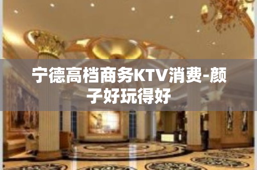 宁德高档商务KTV消费-颜子好玩得好