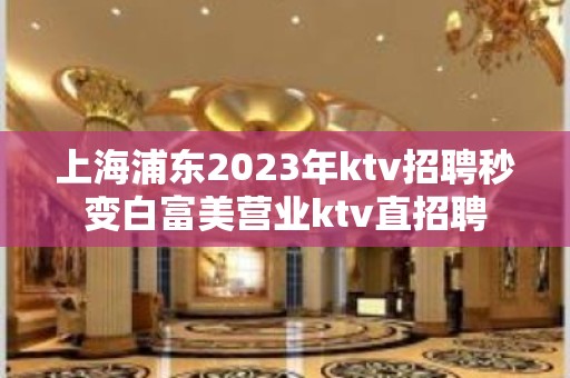 上海浦东2023年ktv招聘秒变白富美营业ktv直招聘