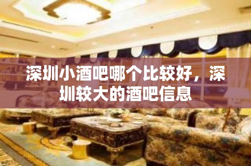 深圳小酒吧哪个比较好，深圳较大的酒吧信息