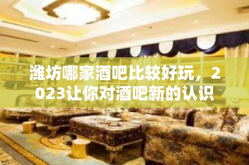 潍坊哪家酒吧比较好玩，2023让你对酒吧新的认识