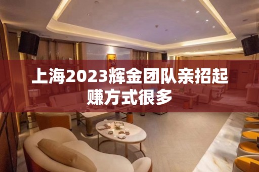 上海2023辉金团队亲招起赚方式很多