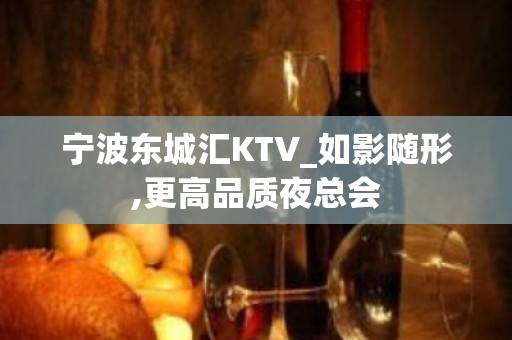 宁波东城汇KTV_如影随形,更高品质夜总会