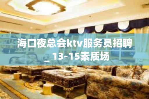 海口夜总会ktv服务员招聘＿13-15素质场