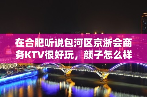 在合肥听说包河区京浙会商务KTV很好玩，颜子怎么样那边。