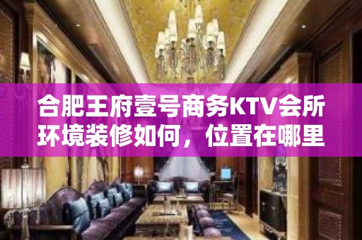 合肥王府壹号商务KTV会所环境装修如何，位置在哪里。