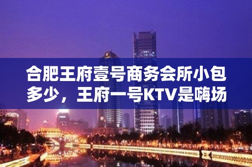 合肥王府壹号商务会所小包多少，王府一号KTV是嗨场吗？