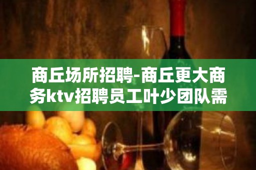 商丘场所招聘-商丘更大商务ktv招聘员工叶少团队需要你