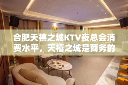 合肥天禧之城KTV夜总会消费水平，天禧之城是商务的吗。