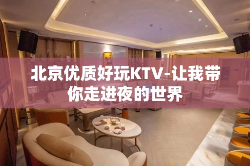 北京优质好玩KTV-让我带你走进夜的世界