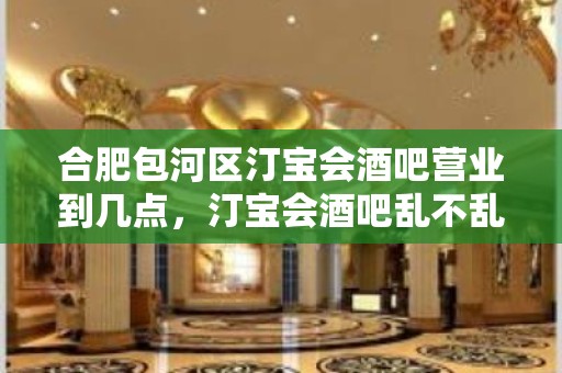 合肥包河区汀宝会酒吧营业到几点，汀宝会酒吧乱不乱的？