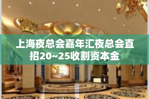 上海夜总会嘉年汇夜总会直招20~25收割资本金